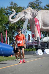 BIB: 
                            <button type="button" onclick="openModal(26545280)" class="btn btn-primary btn-sm float-right btn-popup" data-toggle="modal" data-target=".modal-high-quality">
                        <i class="fas fa-shopping-cart"></i> Add to Cart
                    </button>
                                            <button type="button" onclick="isThisMe(26545280, true)" class="btn btn-success btn-sm float-right btn-popup btn-isme hidden" data-toggle="tooltip" data-placement="bottom" title="นี่คือรูปของคุณใช่ไหม คลิกที่นี่เพื่อเอาเข้าอัลบั้ม">
                        <i class="fas fa-plus"></i> Add to album
                    </button>
                    <button type="button" onclick="isThisMe(26545280, false)" class="btn btn-warning btn-sm float-right btn-popup btn-isnotme hidden">
                        <i class="fas fa-ban"></i> Remove from album
                    </button>